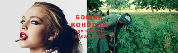 стафф Кулебаки
